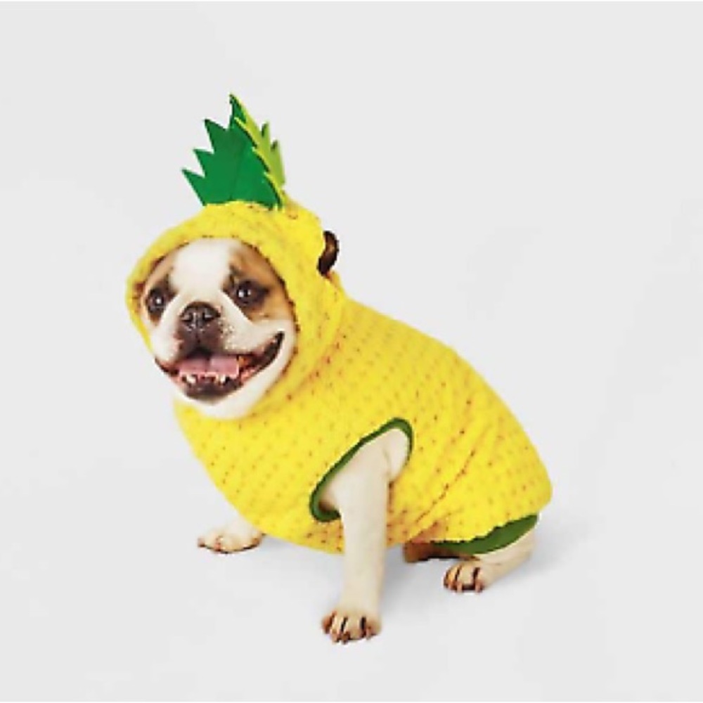 Pet Pineapple Costume 🍍🍍 | size S